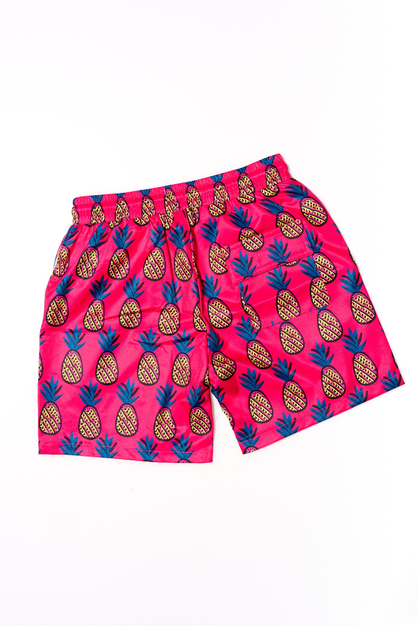 Pineapple Swim Trunks | Pineapple Print Swimwear | Shadies