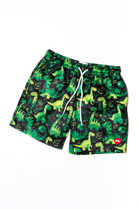 Dino Swim Trunks | Dino Trunks | Shadies